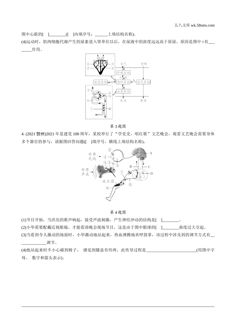 初中_中考_生物学精讲本_02.第二部分  重难专题突破_04.四、人体各部分结构及生理活动.docx_第2页