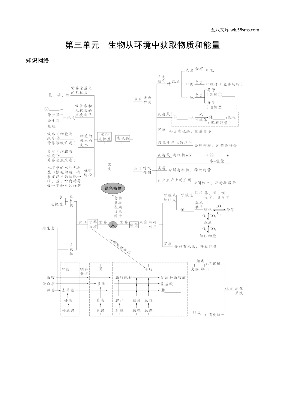 初中_中考_徐州生物学精讲本_01.第一部分  教材知识梳理_03.第三单元　生物从环境中获取物质和能量_01.第三单元　生物从环境中获取物质和能量知识网络.doc_第1页