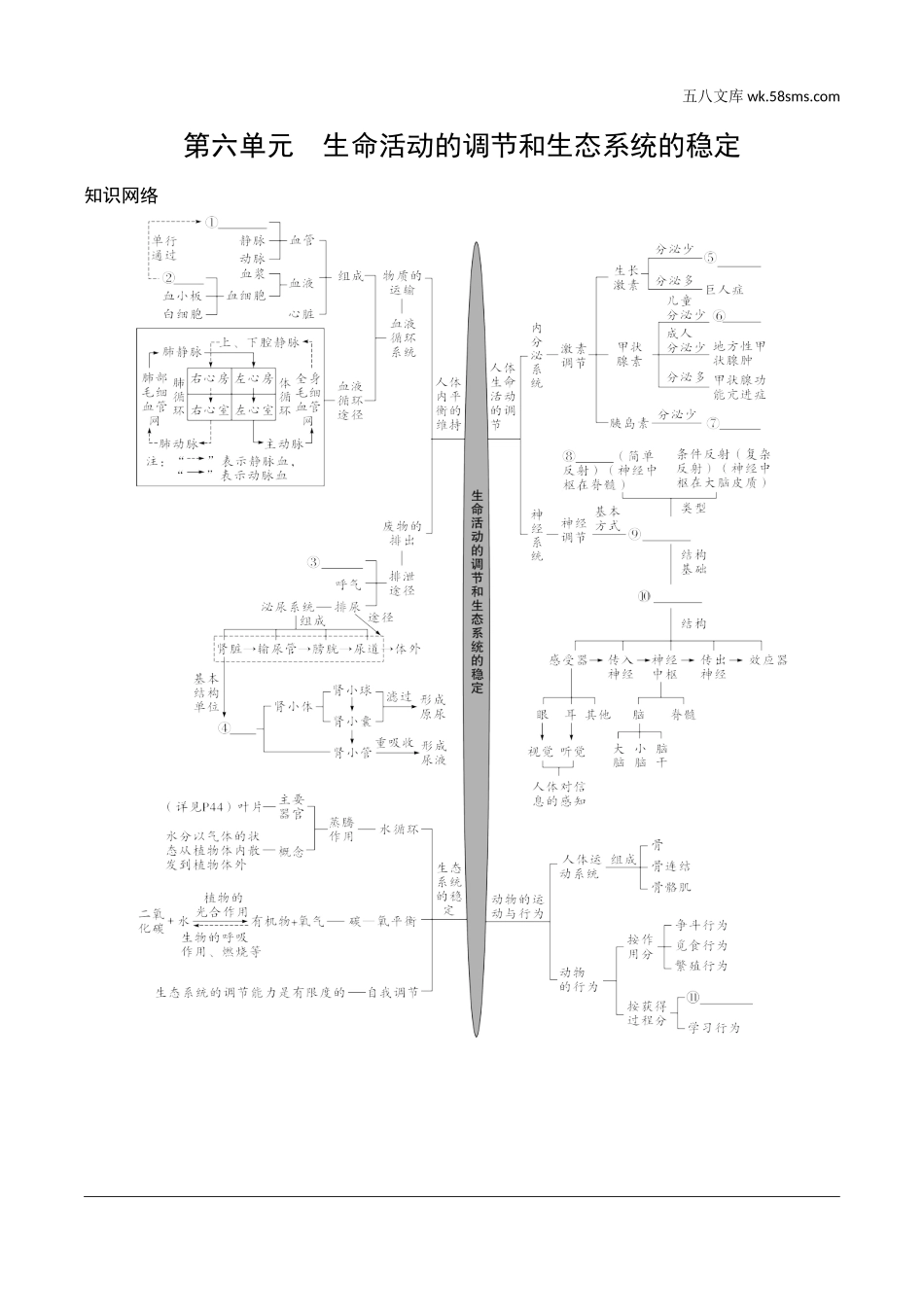初中_中考_徐州生物学精讲本_01.第一部分  教材知识梳理_06.第六单元　生命活动的调节和生态系统的稳定_01.第六单元　生命活动的调节和生态系统的稳定知识网络.doc_第1页