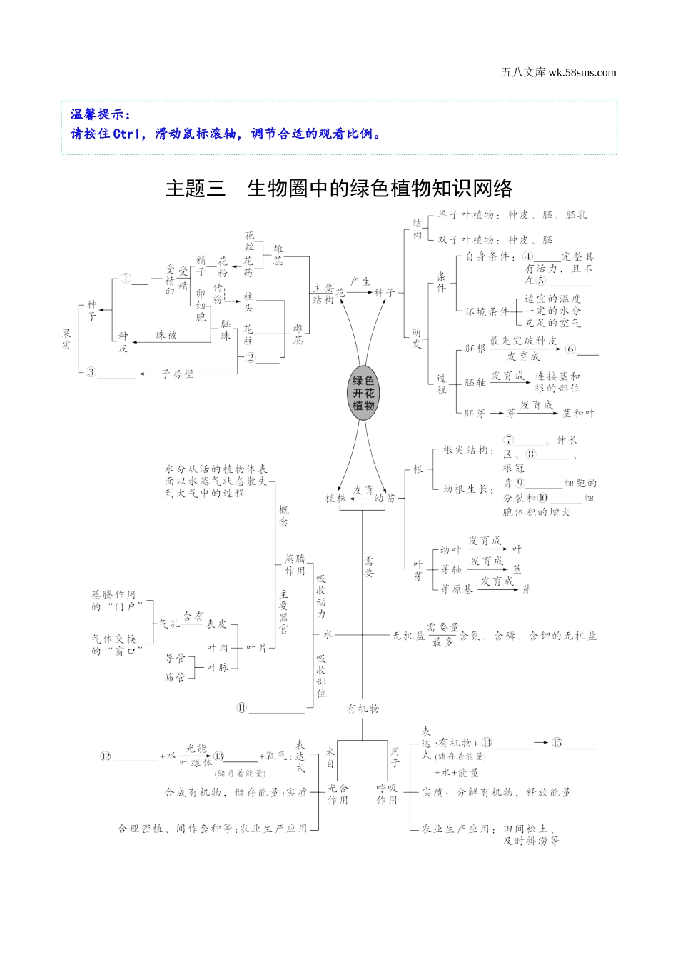 初中_中考_福建生物学精讲本_01.第一部分  福建中考考点研究_03.主题三　生物圈中的绿色植物_01.主题三  生物圈中的绿色植物知识网络.docx_第1页