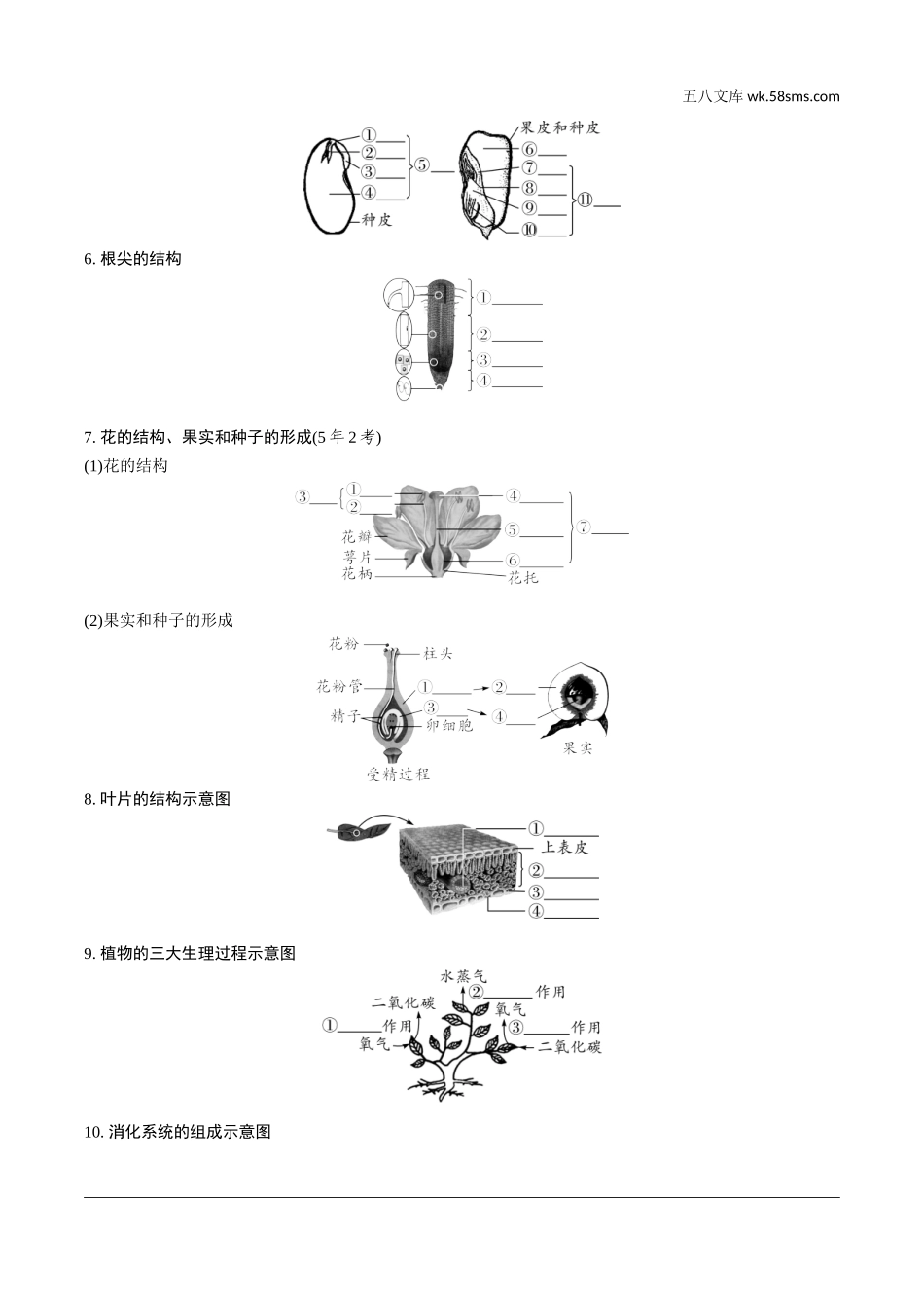 初中_中考_福建生物学精讲本_02.第二部分  福建中考重难专题突破_08.专题八　常考图片速填.doc_第2页