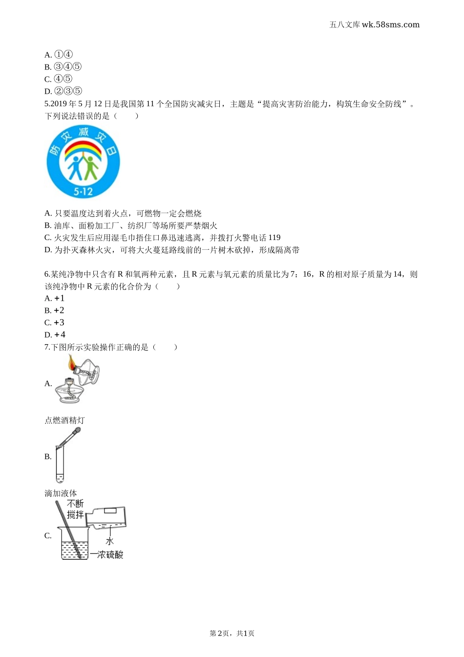 中考题_2019年中考题_2019年山东省滨州市中考化学（word版，有解析）_第2页