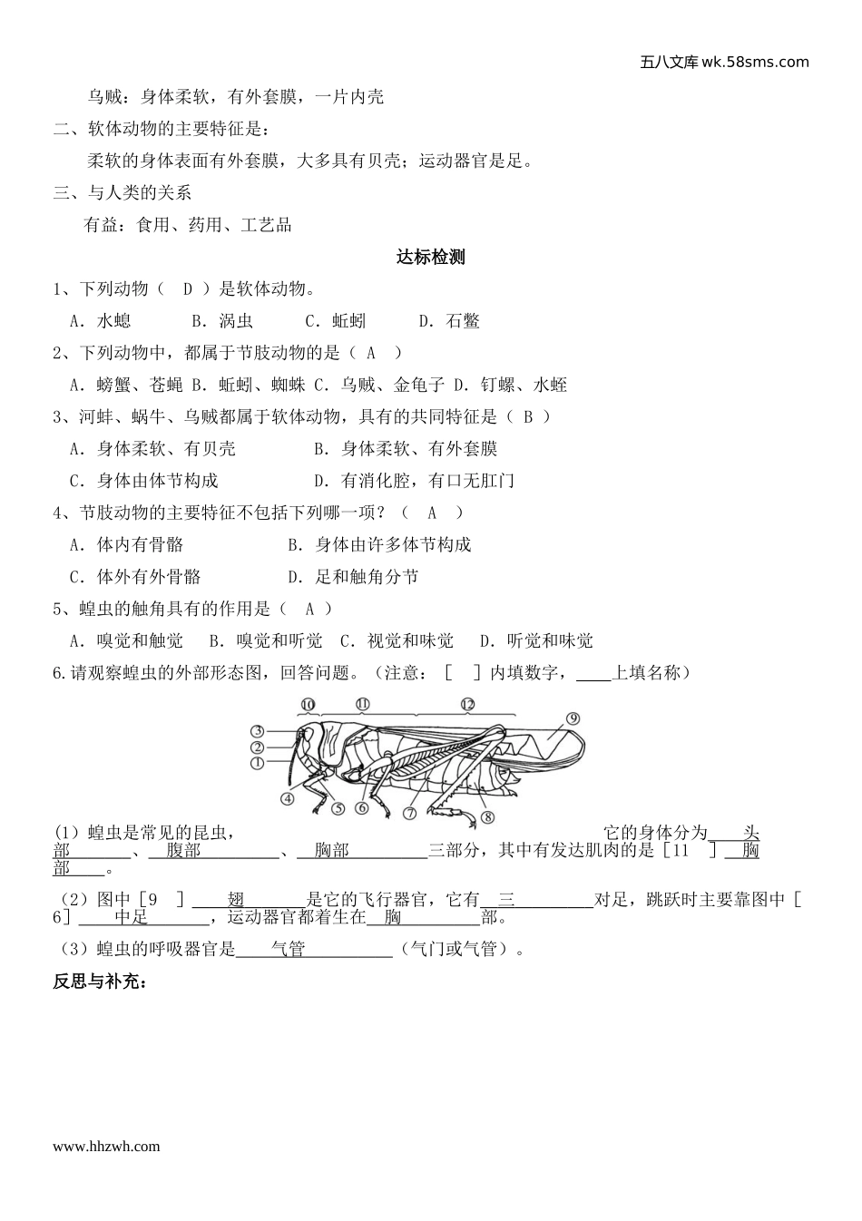 初中教学_生物_8年级生物RJ版上册（新教案）_第5单元  生物圈中的其他生物_第1章  动物的主要类群_第3节  软体动物和节肢动物_第3页