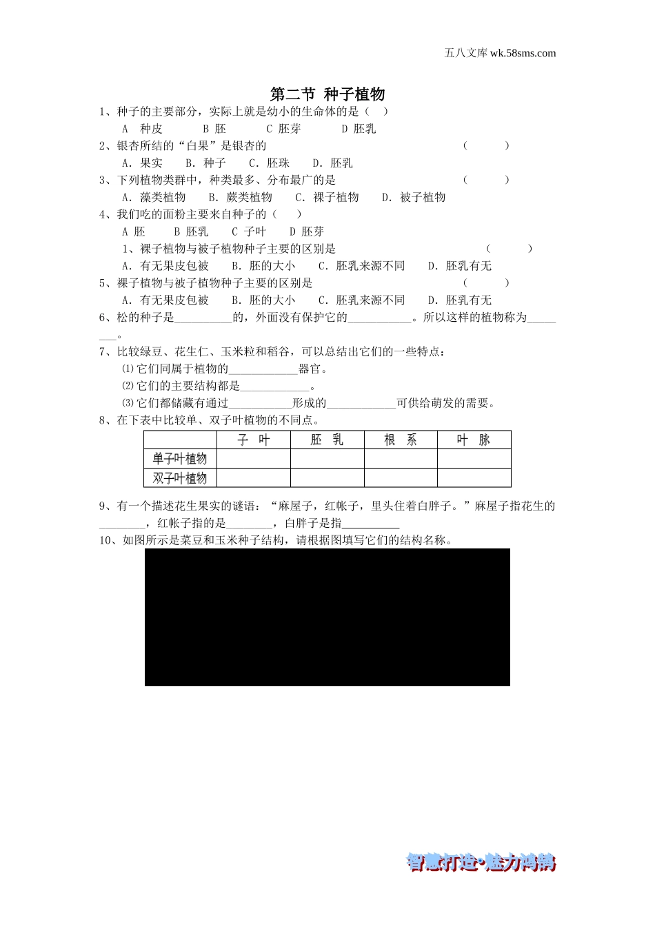 初一生物供教师补充选用_第3单元 生物圈中的绿色植物_第1章 生物圈中有哪些绿色植物_第二节 种子植物-课时训练_第1页