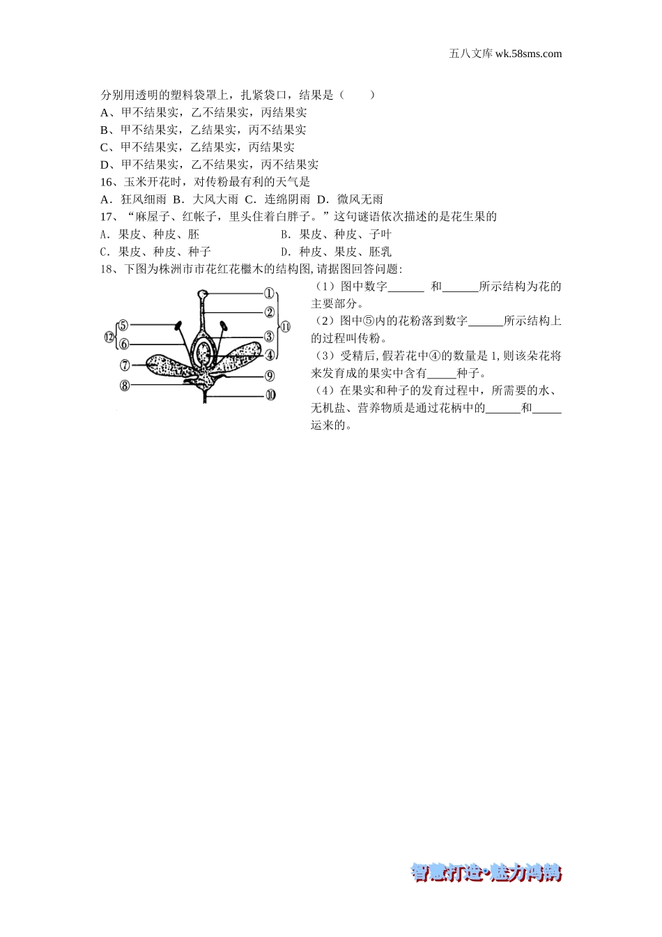 初一生物供教师补充选用_第3单元 生物圈中的绿色植物_第2章 被子植物的一生_第三节 开花和结果-课时训练_第2页