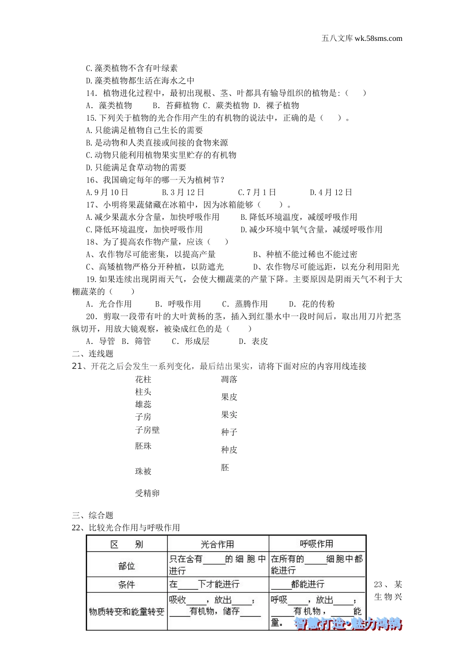 初一生物供教师补充选用_第3单元 生物圈中的绿色植物_第三单元 生物圈中的绿色植物-综合训练_第2页