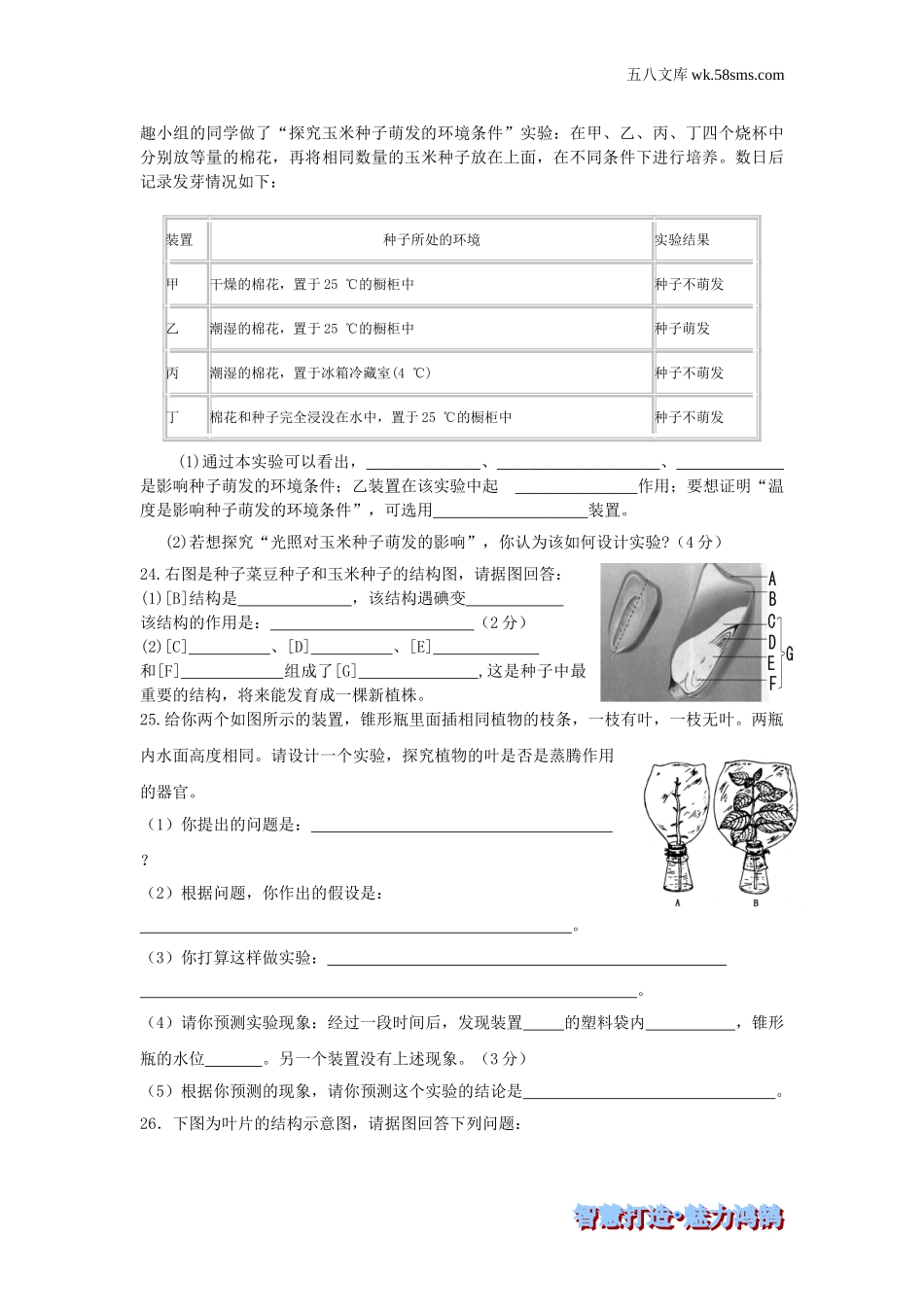 初一生物供教师补充选用_第3单元 生物圈中的绿色植物_第三单元 生物圈中的绿色植物-综合训练_第3页