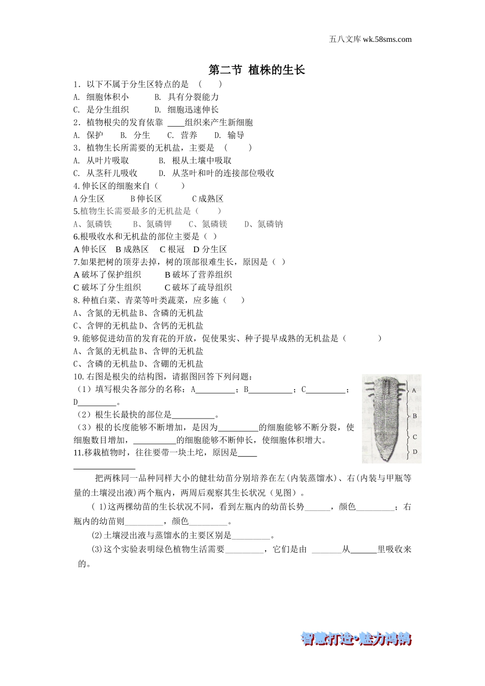 初一生物供教师补充选用_第3单元 生物圈中的绿色植物_第2章 被子植物的一生_第二节 植株的生长-课时训练_第1页