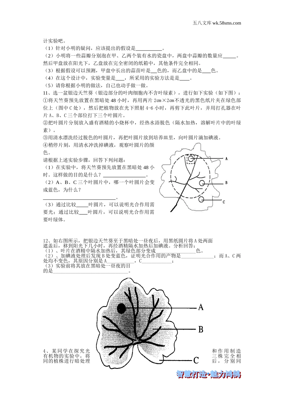 初一生物供教师补充选用_第3单元 生物圈中的绿色植物_第4章 绿色植物是生物圈中有机物的制造者_第四章 绿色植物是生物圈中有机物的制造者-课时训练_第2页