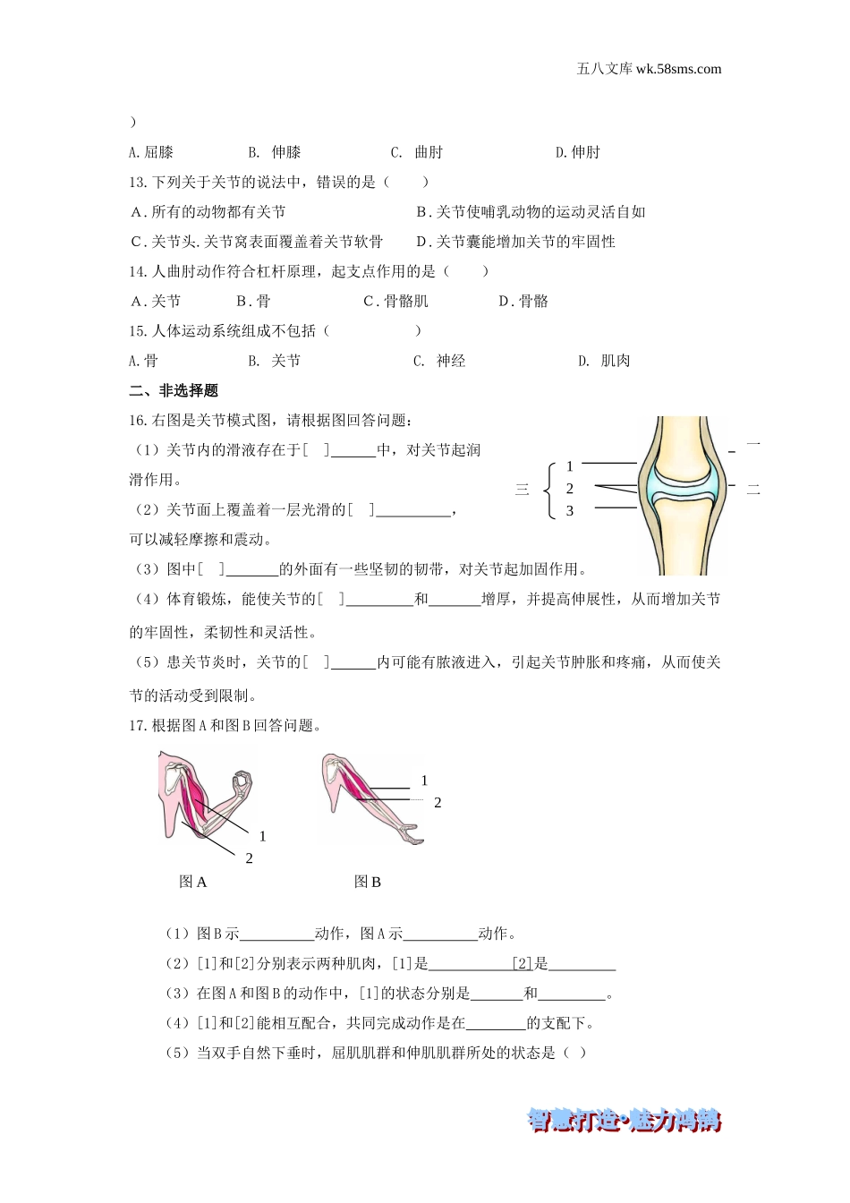 初中教学_生物_8年级生物RJ版上册（素材库 ） 供教师补充选用_第5单元 生物圈中的其他生物_第2章 动物的运动和行为_第二章 动物的运动和行为-综合训练_第2页