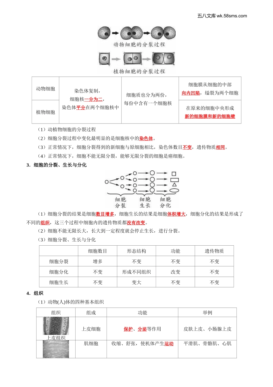 初一_生物_七上生物全册知识点识图速记_第3页