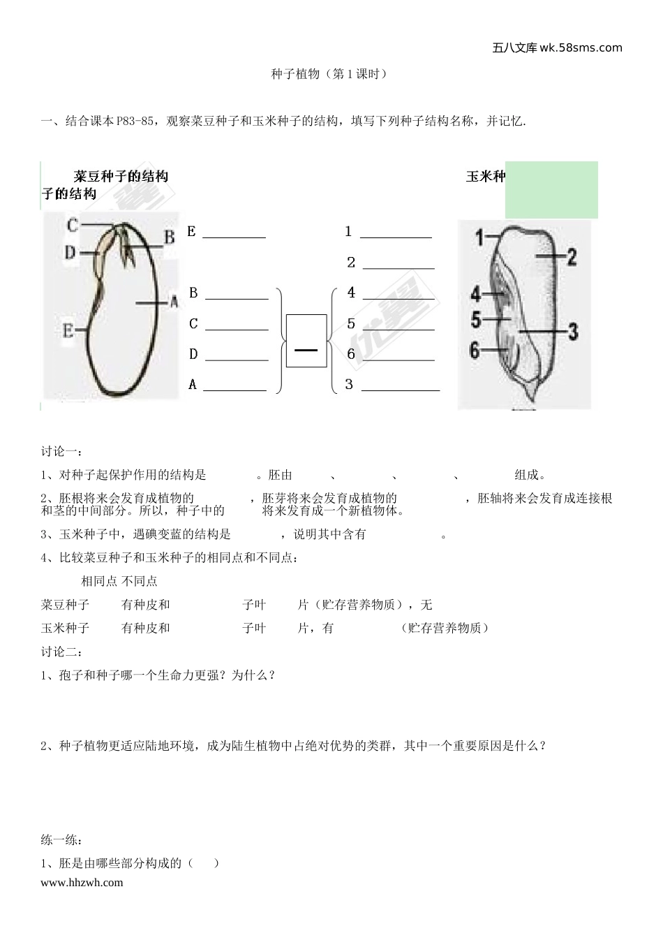 初中教学_生物_7年级生物RJ上册（素材库）供教师补充选用_第3单元  生物圈中的绿色植物_1.第一章  生物圈中有哪些绿色植物_2.第二节  种子植物_第二节 种子植物  课堂训练      第1课时_第1页