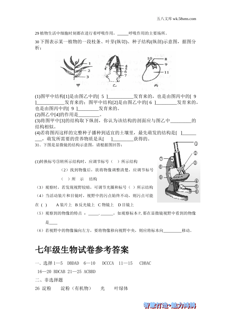 初一生物供教师补充选用_七上生物期末测试_第3页