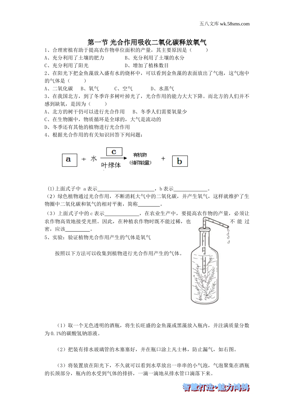 初一生物供教师补充选用_第3单元 生物圈中的绿色植物_第5章 绿色植物与生物圈中的碳-氧平衡_第一节 光合作用吸收二氧化碳释放氧气-课时训练_第1页