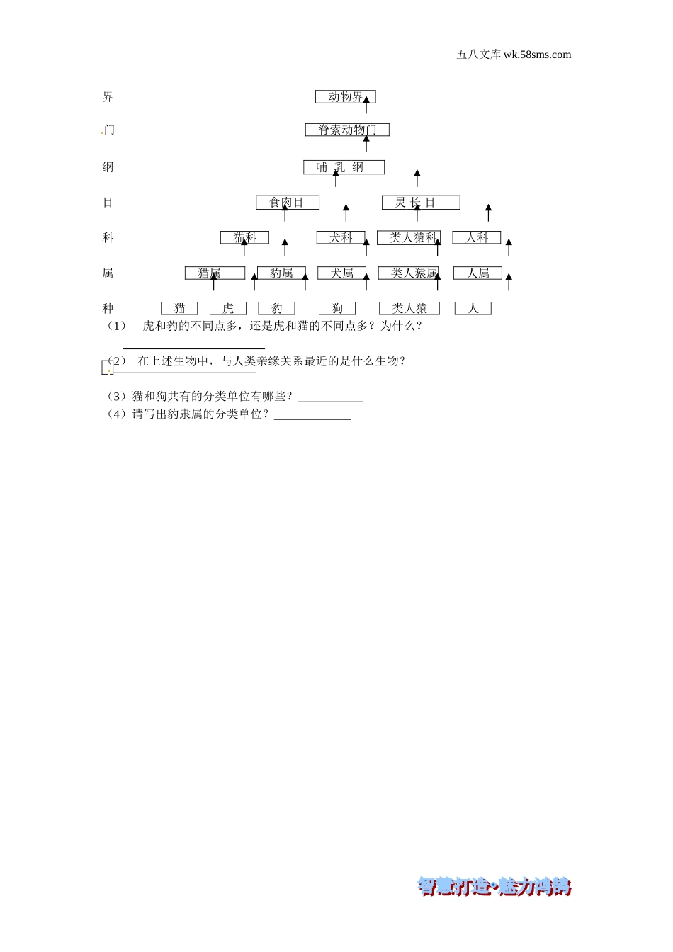 初中教学_生物_8年级生物RJ版上册（素材库 ） 供教师补充选用_第6单元 生物的多样性及其保护_第1章 根据生物的特征进行分类_第二节 从种到界_第二节 从种到界-课时训练_第2页