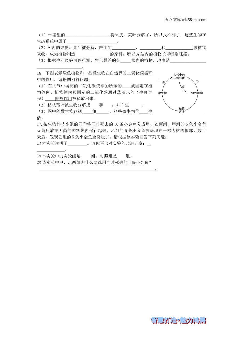 初中教学_生物_8年级生物RJ版上册（素材库 ） 供教师补充选用_第5单元 生物圈中的其他生物_第4章 细菌和真菌_第4节 细菌和真菌在自然界的作用_第四节 细菌和真菌在自然界的作用-课时训练_第2页