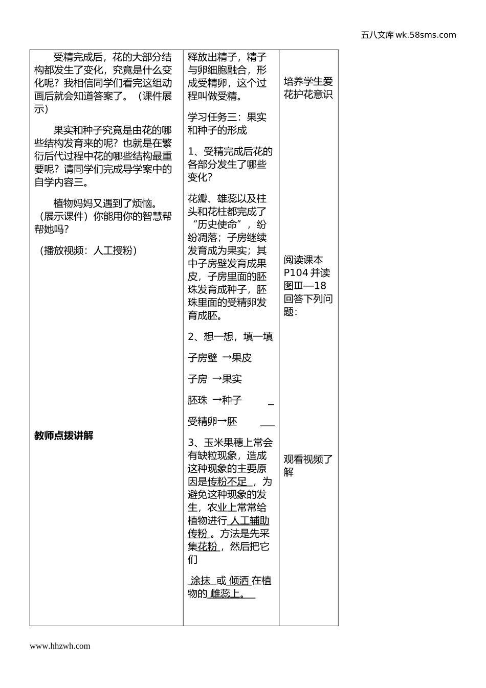 初中教学_生物_7年级生物RJ上册（新教案）_第3单元  生物圈中的绿色植物_第2章 被子植物的一生_第3节 开花和结果_第3页