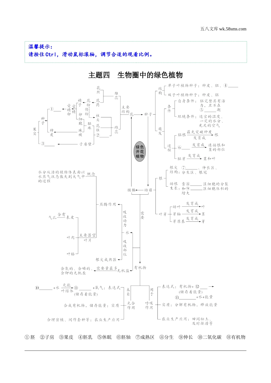 初中_中考_内蒙古生物学精讲本_01.第一部分  内蒙古中考考点研究_04.主题四   生物圈中的绿色植物_01.主题四   生物圈中的绿色植物知识网络.docx_第1页