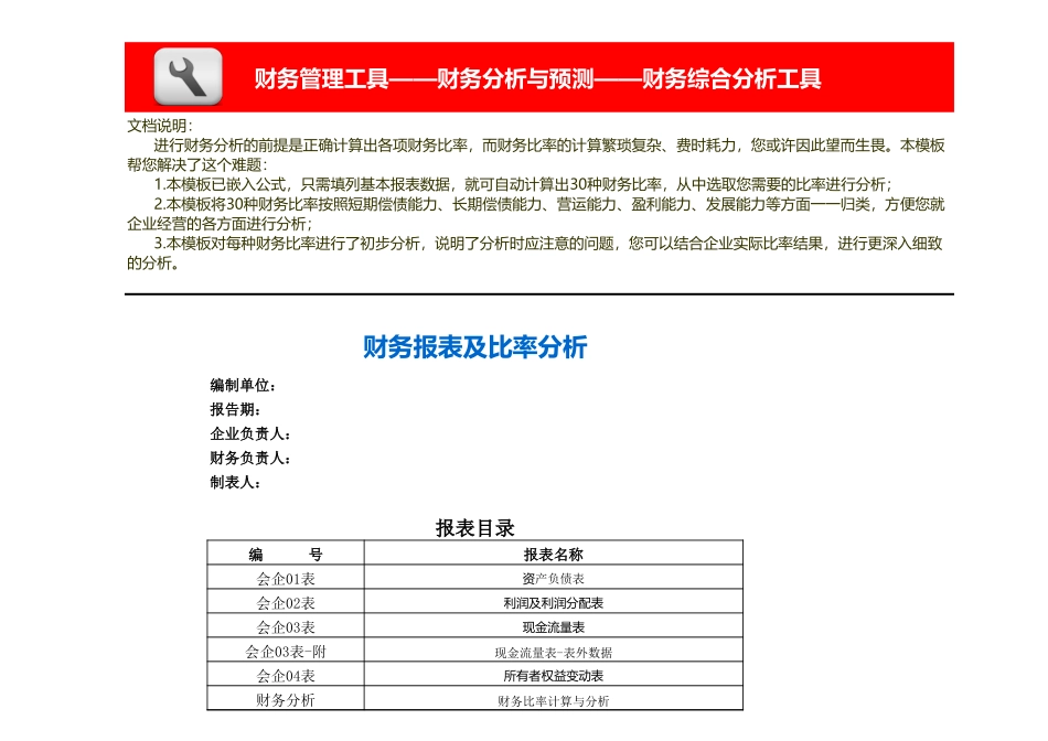 企业管理_财务管理_财务比率分析模板(含30种财务比率)_第1页