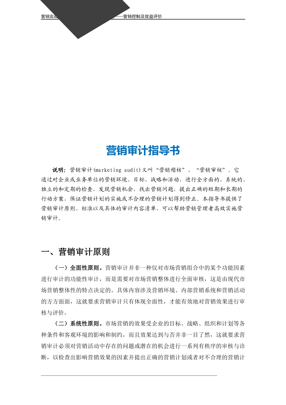 企业管理_营销管理_营销审计指导书.doc_第3页