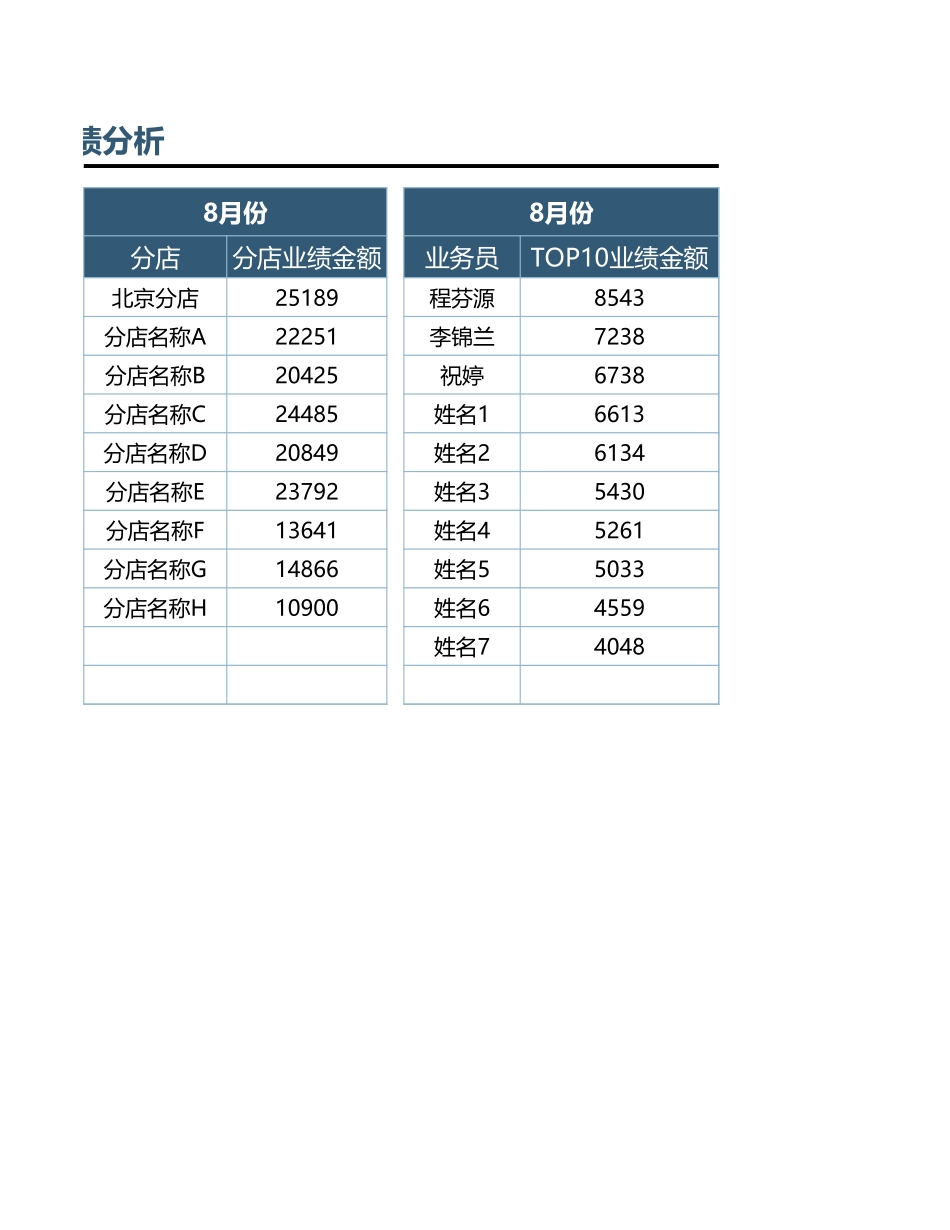 企业管理_销售管理制度_9-销售相关表格_销售人员业绩分析_销售业绩分析1_第2页