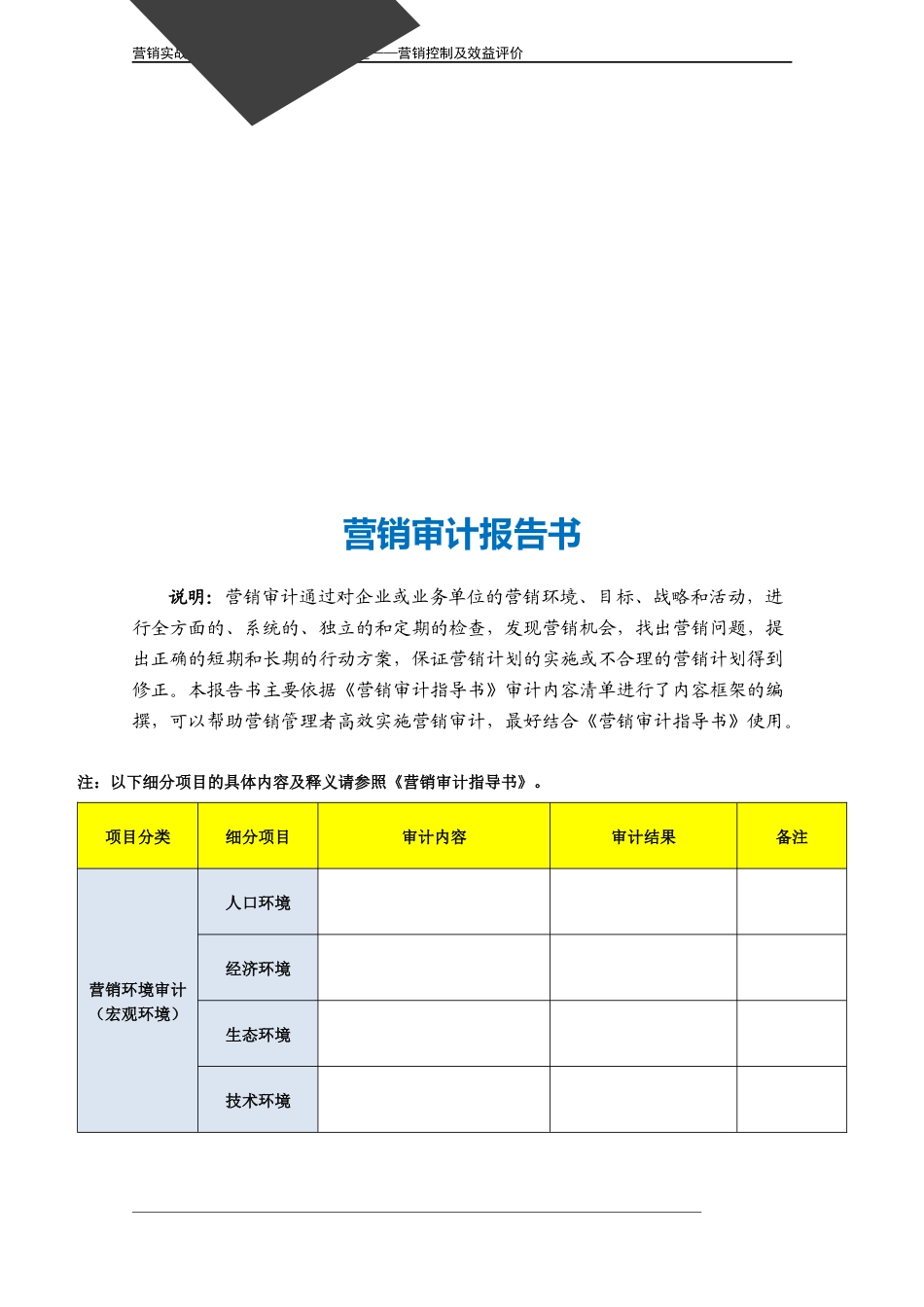 企业管理_营销管理_营销审计报告书.doc_第3页