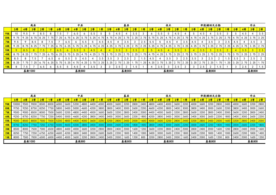 企业管理_人事管理制度_2-薪酬激励制度_11-职等职级设计模板_04-【通用】职等薪点表_第2页