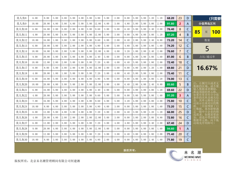 企业管理_薪酬管理工具_试用期员工考核等级评价及筛选工具（全自动，灵活筛选_第2页