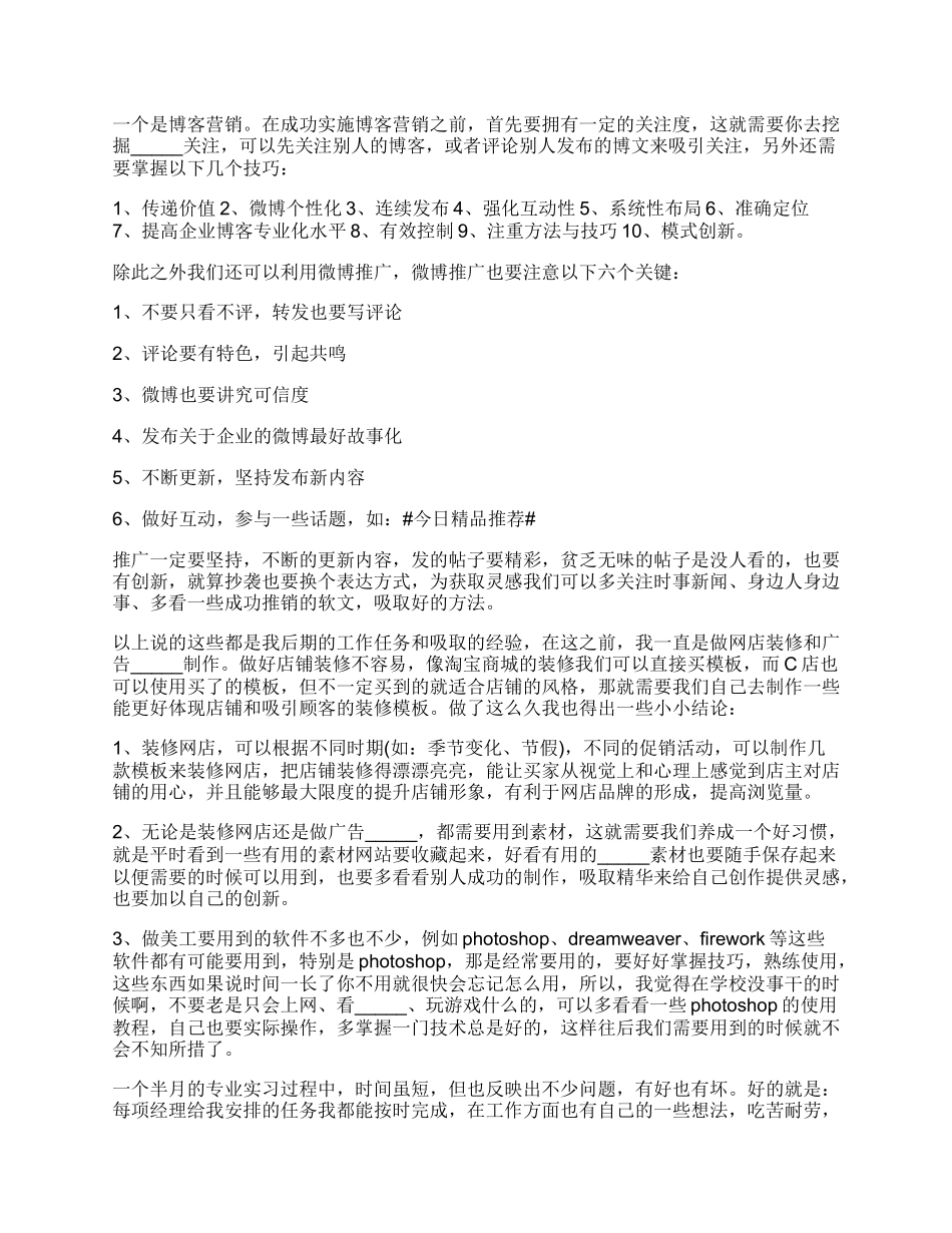 电子商务个人实习报告范文_第3页