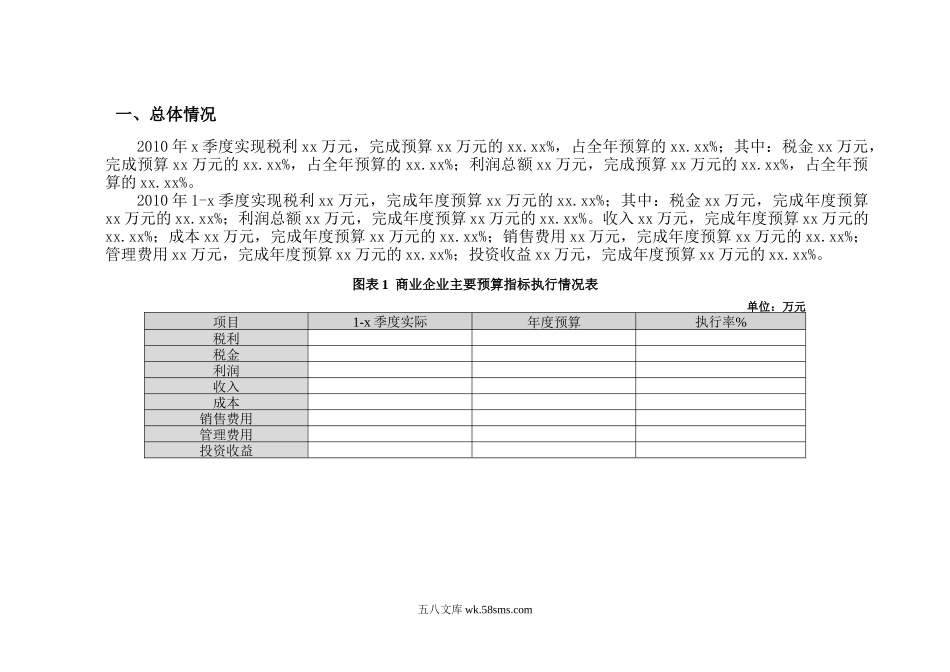 商业公司预算执行分析报告-模板_第2页