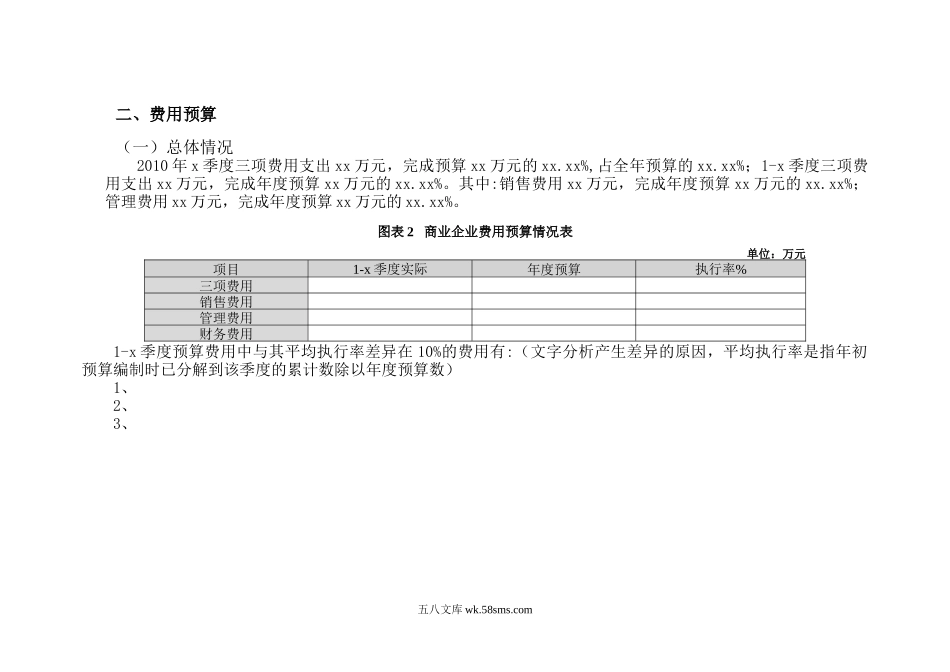 商业公司预算执行分析报告-模板_第3页