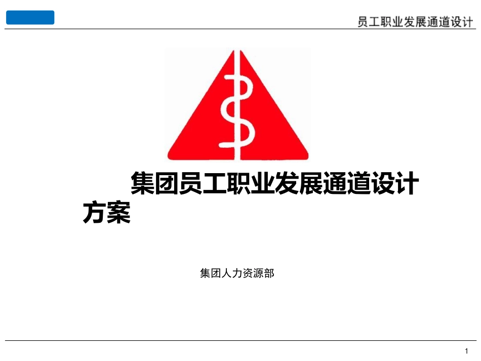 案例：某集团员工职业发展通道设计方案.ppt_第1页