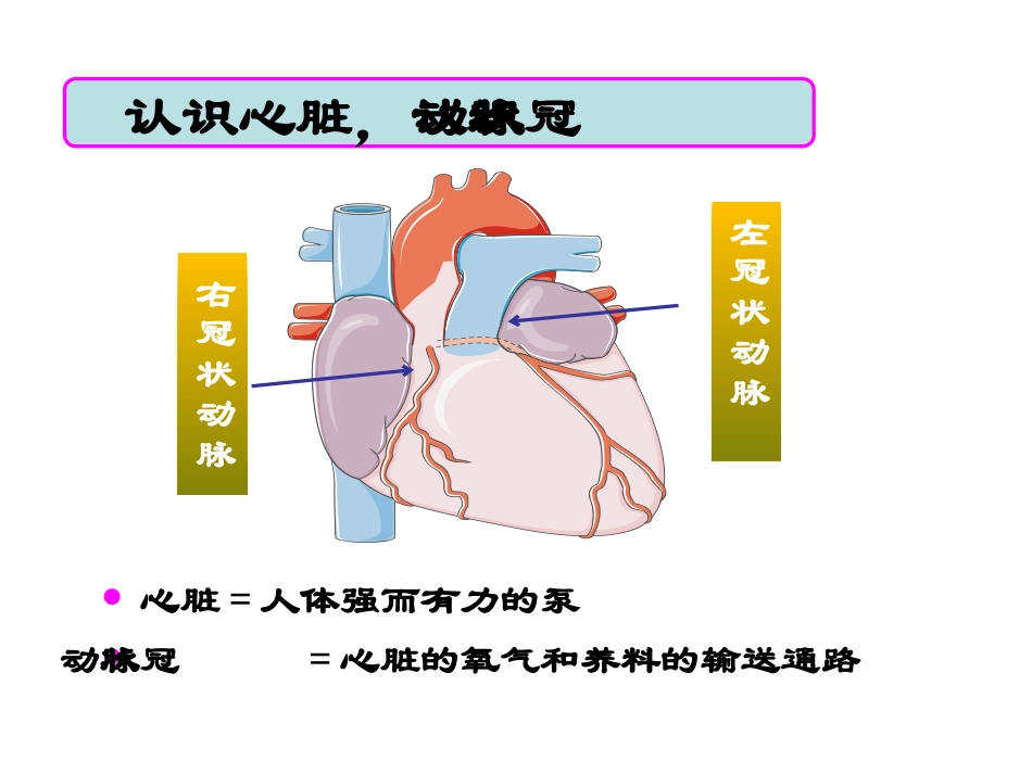 022、呵护心肌梗死支架患者.pptx_第3页