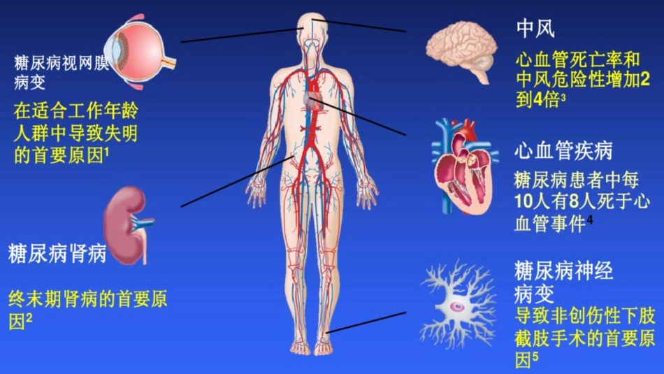 095 糖尿病的相关检查项目.pptx_第3页