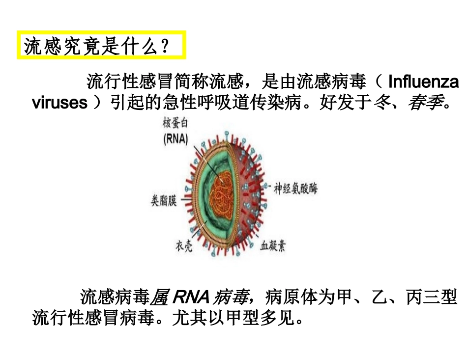 107、预防流感知多少.ppt_第3页