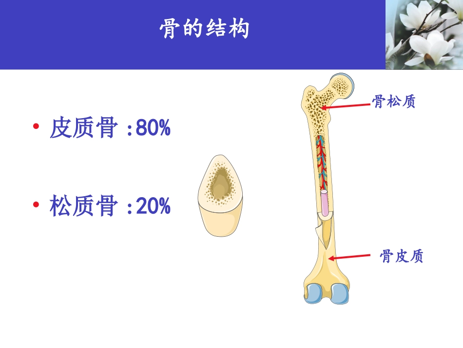 072、骨质疏松科普知识.ppt_第3页