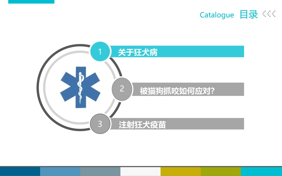 041、被宠物抓伤咬伤怎么办.pptx_第2页