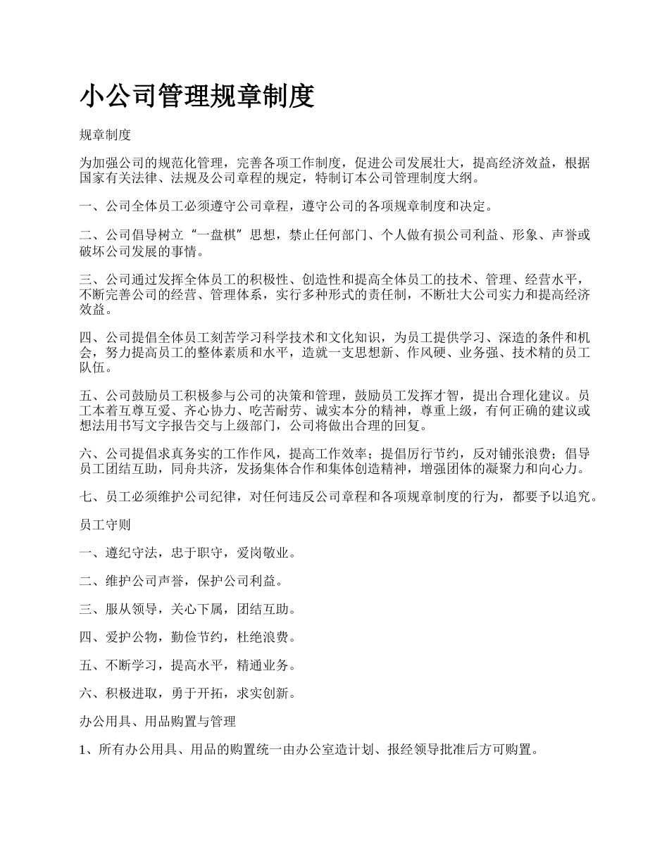 小公司管理规章制度.docx_第1页