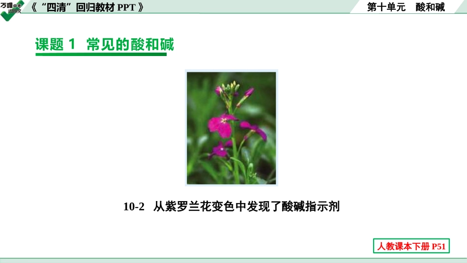 中考辽宁化学课件_独家课件_07.回归教材PPT_10.第十单元 酸和碱.pptx_第1页