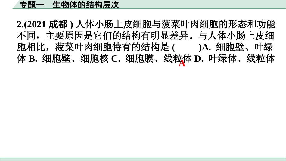 中考广东生物学全书PPT_01.02.第二部分  重点专题突破_01.专题一  生物体的结构层次_02.专题一  生物体的结构层次.pptx_第3页