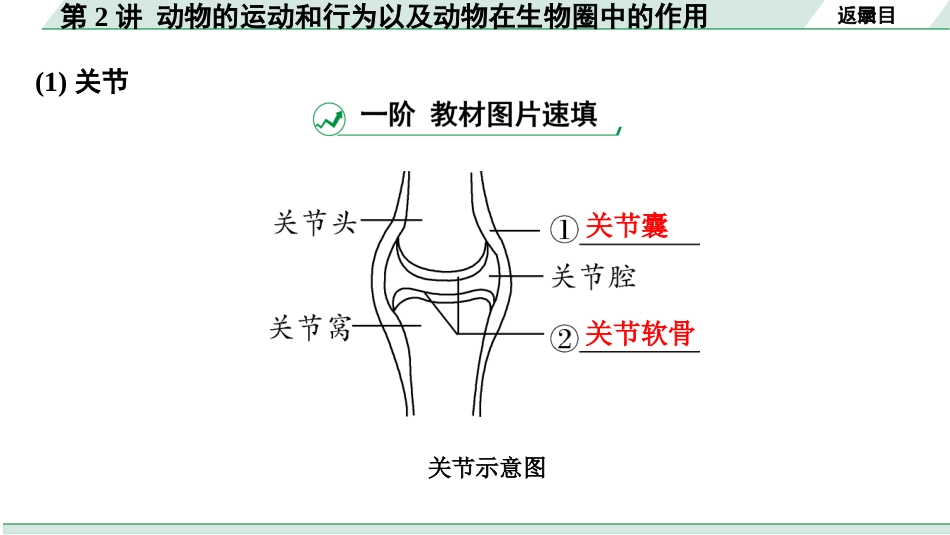 中考河南生物学01.第一部分  河南中招考点研究_05.第五单元　生物圈中的其他生物_03.第2讲  动物的运动和行为以及动物在生物圈中的作用.pptx_第3页