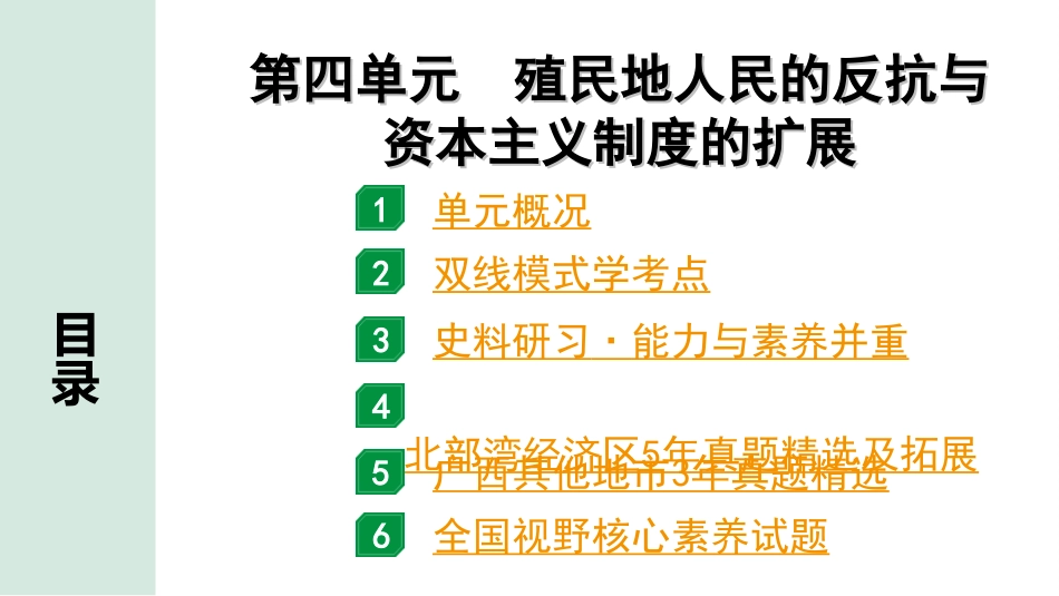 中考北部湾经济区历史1.第一部分    北部湾经济区中考考点研究_5.板块五　世界近代史_4.第四单元　殖民地人民的反抗与资本主义制度的扩展.ppt_第2页