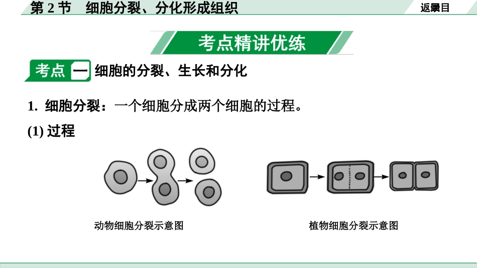 中考广西生物学速填速记_01.主题一  生物体的结构层次_02.第2节　细胞分裂、分化形成组织.pptx_第3页