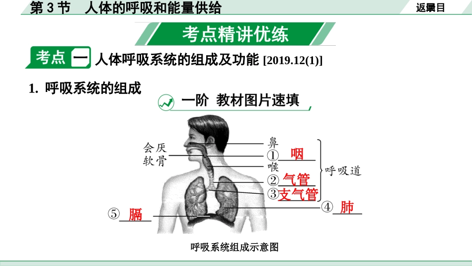 中考安徽生物学01.第一部分  安徽中考考点研究_04.主题四  生物圈中的人_03.第3节  人体的呼吸和能量供给.pptx_第3页