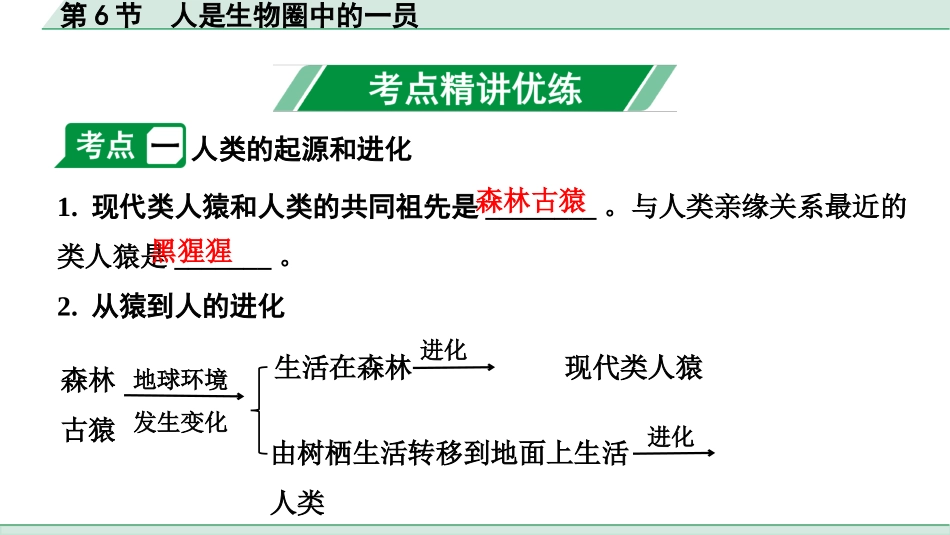 中考广西生物学速填速记_04.主题四  生物圈中的人_06.第6节  人是生物圈中的一员.pptx_第3页