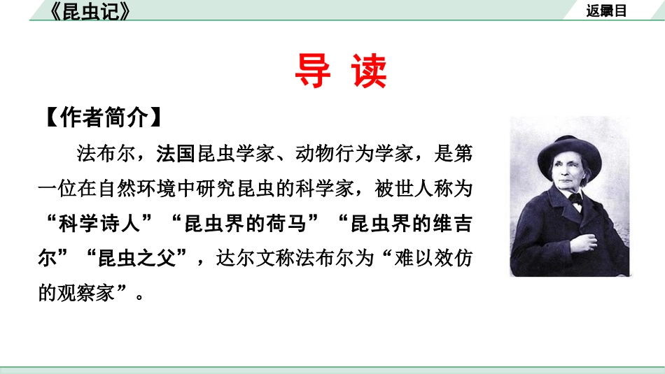 中考安徽语文3.第三部分  语文积累与运用_4.专题四  名著阅读_教材“名著导读”梳理及训练_6.《昆虫记》_《昆虫记》.pptx_第3页