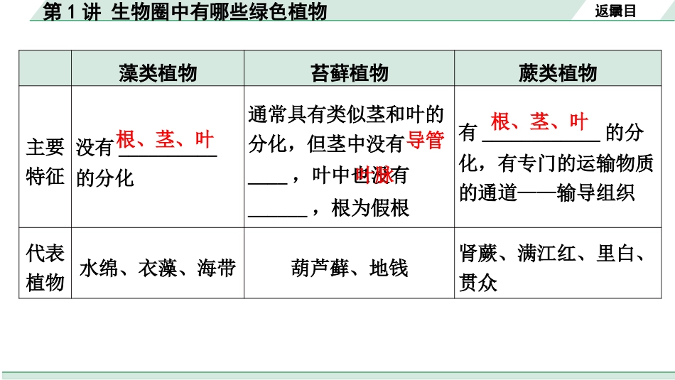 中考河南生物学01.第一部分  河南中招考点研究_03.第三单元　生物圈中的绿色植物_02.第1讲  生物圈中有哪些绿色植物.pptx_第3页