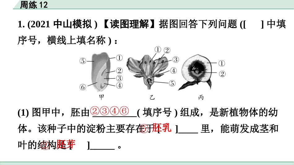 中考广东生物学全书PPT_02.滚动题组周练_12.周练12.pptx_第2页