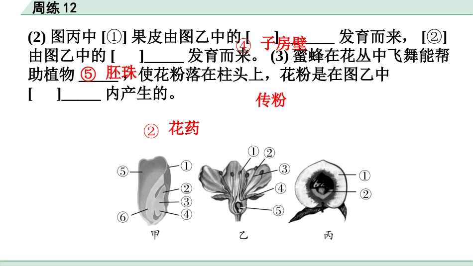 中考广东生物学全书PPT_02.滚动题组周练_12.周练12.pptx_第3页