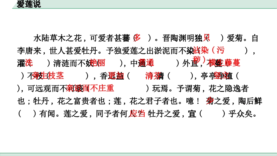 中考杭州语文2. 第二部分 阅读_4.专题四  课外文言文三阶攻关_一阶  必备知识——课内文言文字词积累_教材重点字词逐篇训练_11. 爱莲说_爱莲说（练）.ppt_第2页